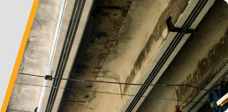 img4.jpg